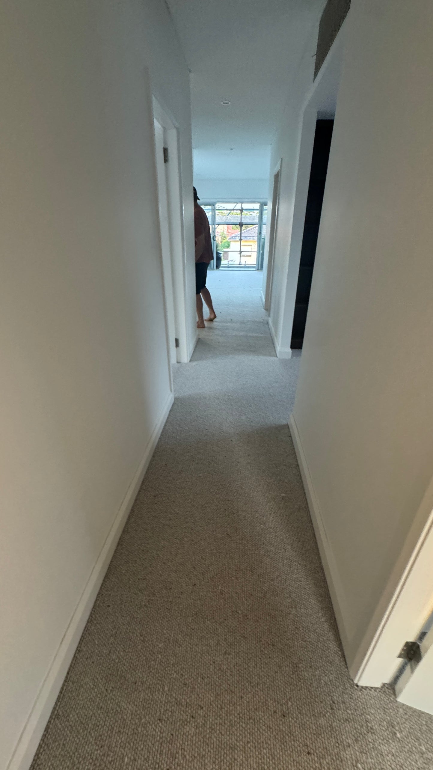 Wool Carpet
